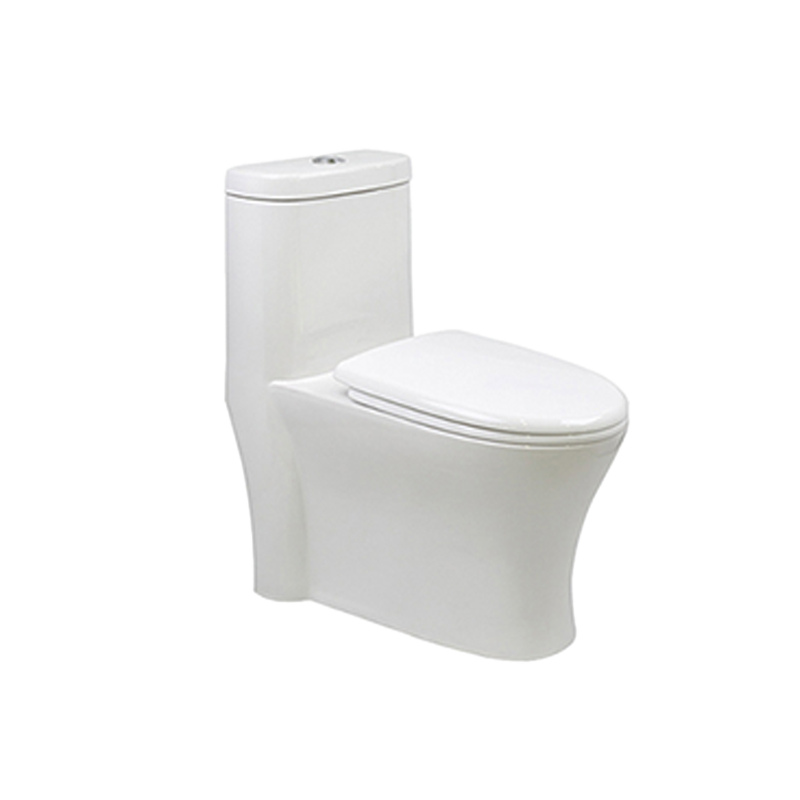 OT111007 One-Piece Elongated Toilet Dual-Flush