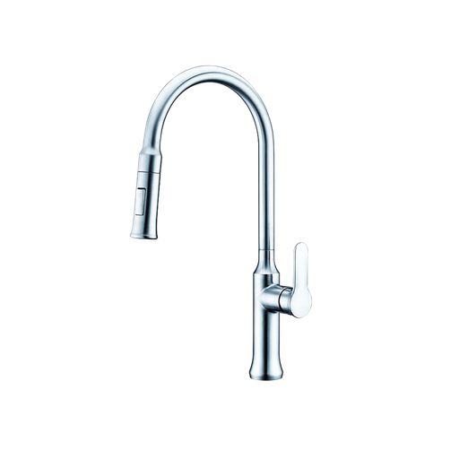 [T212182] Kitchen Sink Faucet