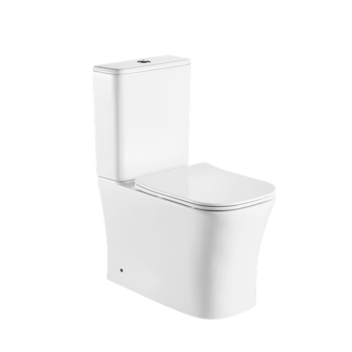 [T112001] Washdown Two Piece Toilet