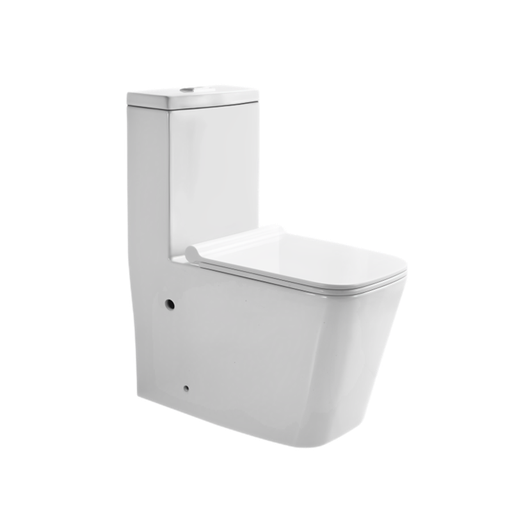 [T111003] Washdown One Piece Toilet