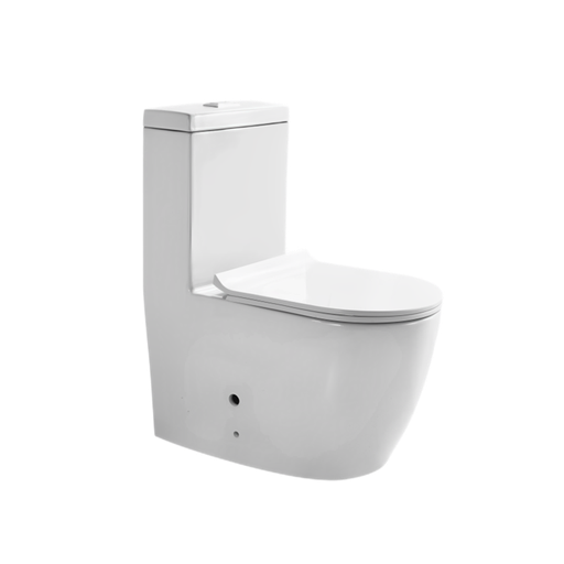 [T111004] Washdown One Piece Toilet