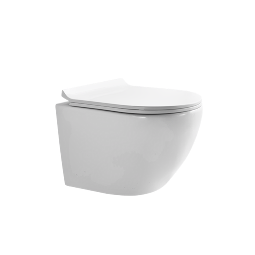 [T113010] P.Tropez Wall Mounted Toilet