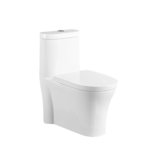 [T111011] Siphonic One-Piece Elongated Toilet Dual-Flush