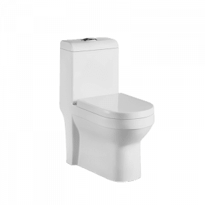 Washdown One Piece Modern Toilet Design