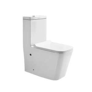 Luxury One Piece Toilets