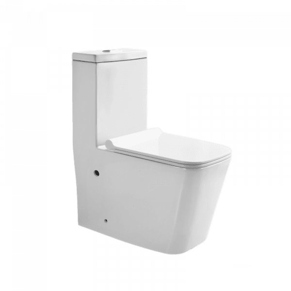 Luxury One Piece Toilets