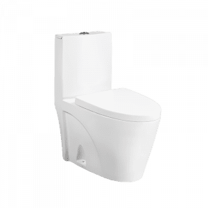 Dual-Flush One Piece Toilet
