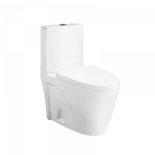 Dual-Flush One Piece Toilet