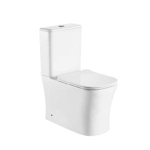 Washdown Two Piece Toilet