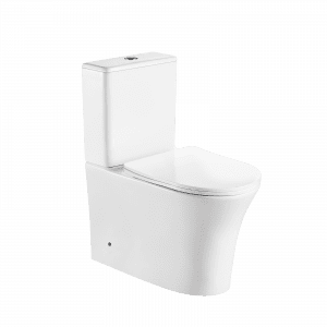 Bathroom Washdown Two Piece Toilet