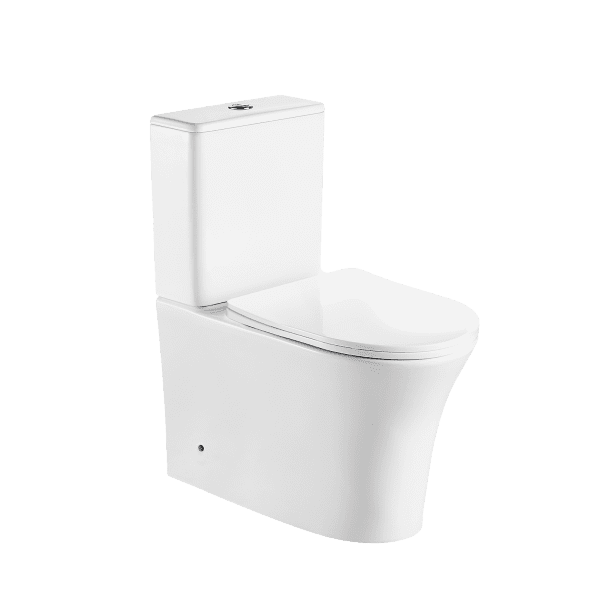 Bathroom Washdown Two Piece Toilet