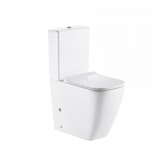 Washdown Two Piece Toilet