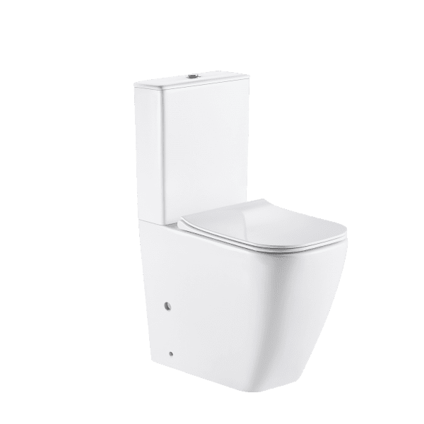 Washdown Two Piece Toilet
