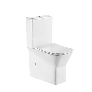 Washdown Two Piece Toilet