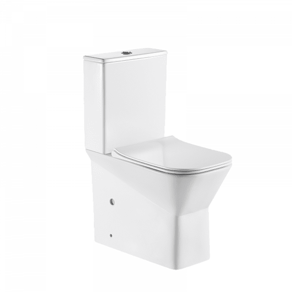 Washdown Two Piece Toilet