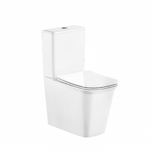 Washdown Two Piece Toilet