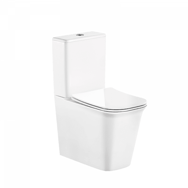 Washdown Two Piece Toilet