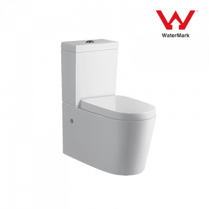 Washdown Two Piece Toilet