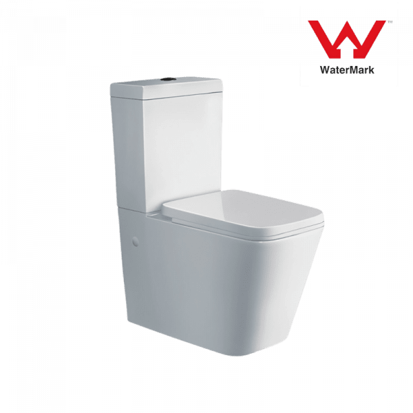 Washdown Two Piece Toilet