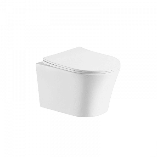 Back-To-Wall Wall Hung Toilet