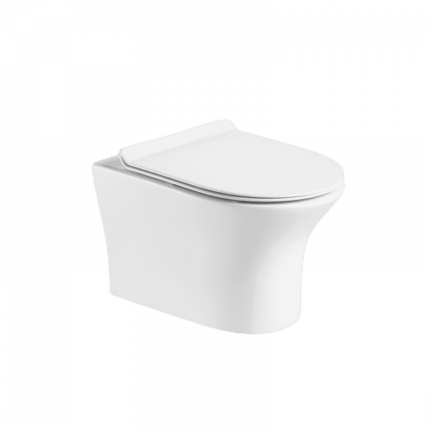 P.Tropez Bathroom Wall Mounted Install W.C Toilet