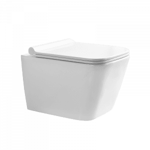 P.Tropez Wall Mounted Toilet