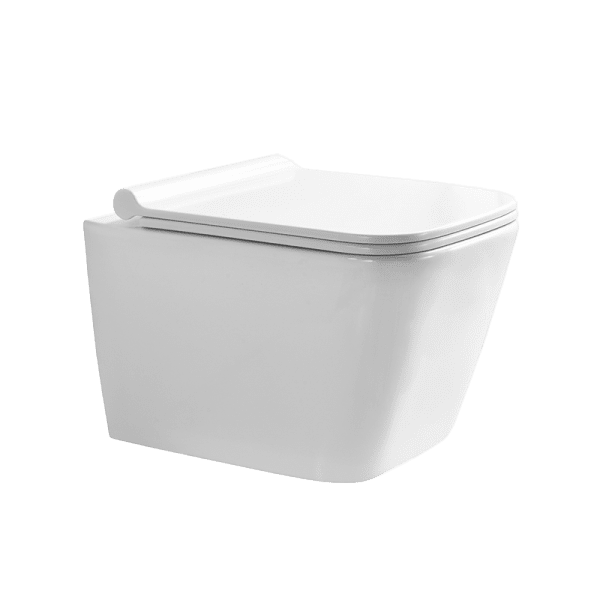 P.Tropez Wall Mounted Toilet