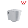 Australia Back-To-Wall Wall Hung Concealed Toilet Round Design