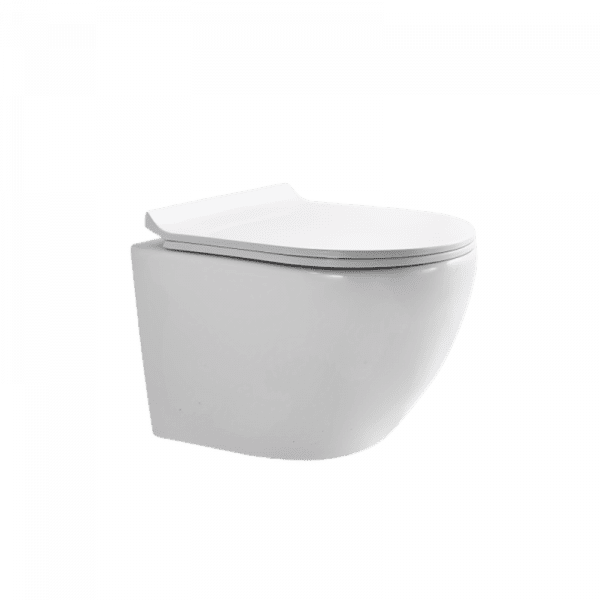 P.Tropez Wall Mounted Toilet