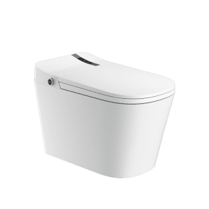 High-end Smart Toilet Water Closet