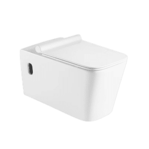 wall hung toilet
