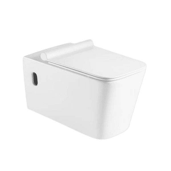 wall hung toilet