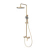 T214100 Bathroom Rain Shower Unit