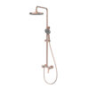 T214100 Bathroom Rain Shower Unit